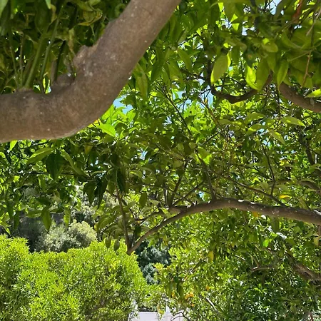 Villa Carruba-3
